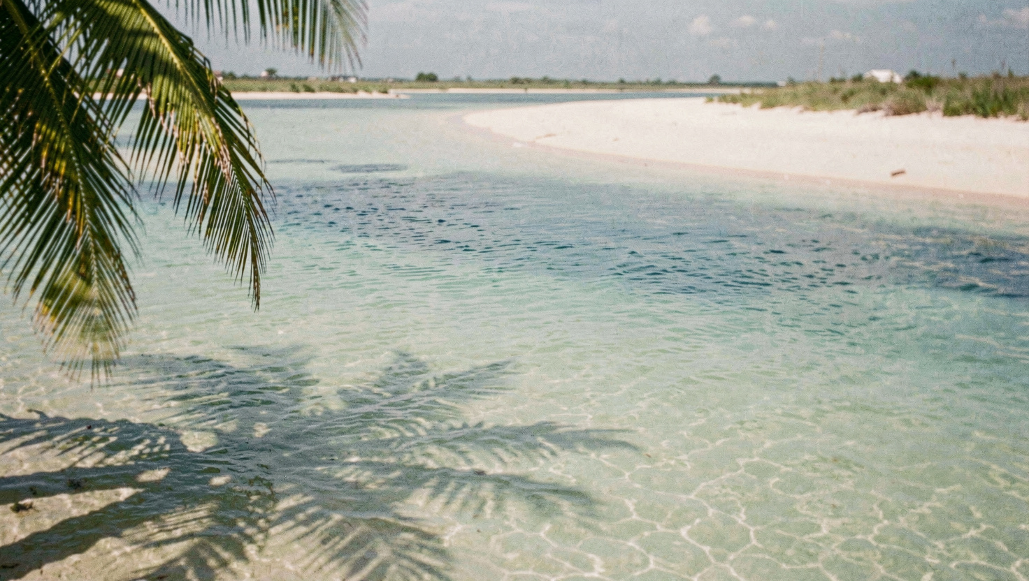 Lagon peu profond dont l'eau passe du vert pâle au bleu soutenu, un banc de sable clair coupe le cadre et l'ombre d'un cocotier entre par la gauche