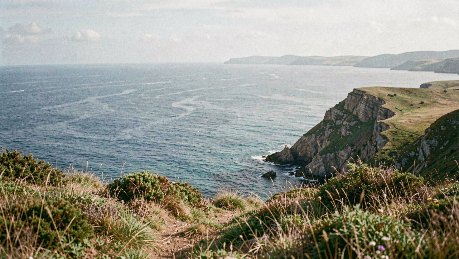 Baie vue en plongée depuis une colline, la mer d'un bleu profond occupe la moitié du cadre et une promenade bordée de palmiers longe le rivage