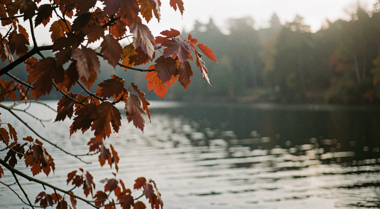 Branche d'érable aux feuilles rouges se détachant devant un lac sombre, lumière voilée de fin d'après-midi